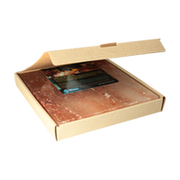  - Salzstein mit Geschenkkarton zum grillen BBQ Salzplatte 20x20x2,5cm (2.2kg) 